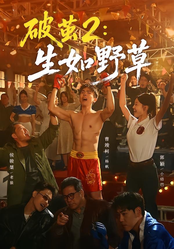 玫瑰的故事